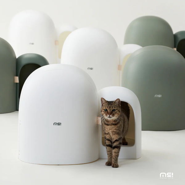 Makesure® Cat Litter Box MAX-2023 NEW-Modern, Stylish&Functional-Green&White