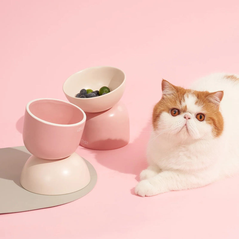 MAKESURE Multicolor 2in1 Cat Bowl Set – Bigger, Higher, Healthier-Food&Water