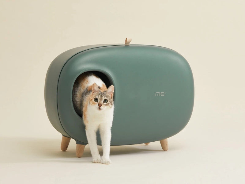 MS! Cat Litter Box