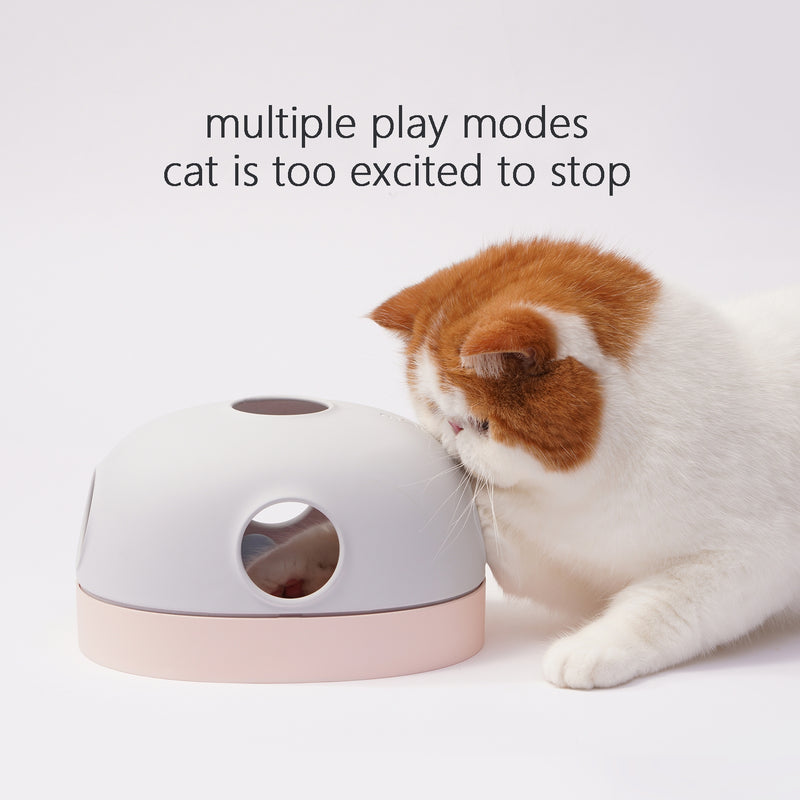 cat and toy multiple play modes